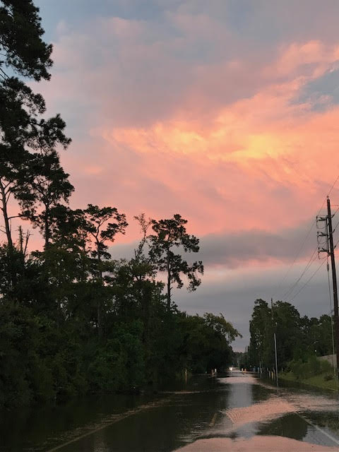After the storm, one perfect sunset. Photo credit: Donna Pyle